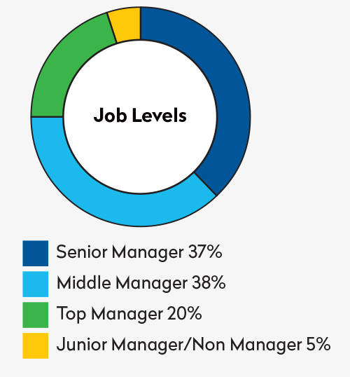 SFP job levels